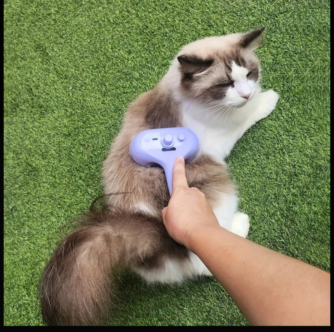 🏠 3 in 1 Steam Pet Brush